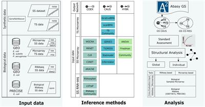 Improving gene regulatory network inference and assessment: The importance of using network structure